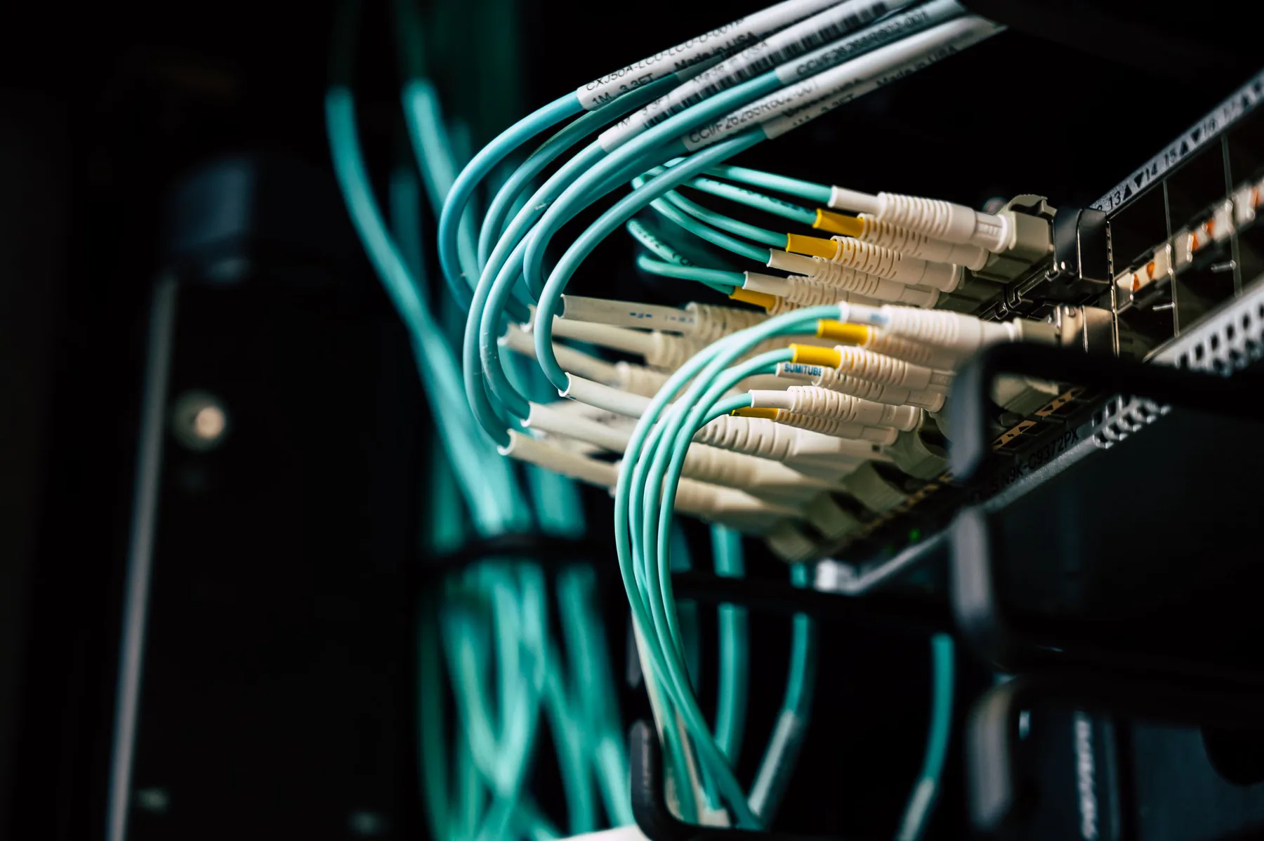 Network cables connected to a server.